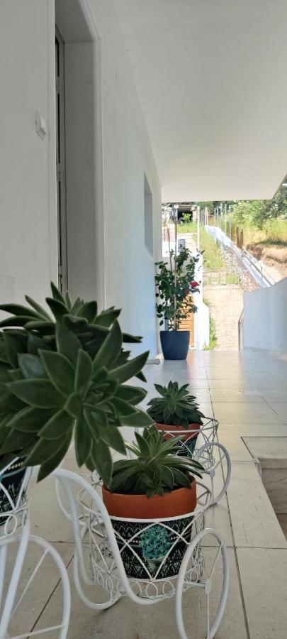 Kiperi Exclusive Otel Parga Dış mekan fotoğraf